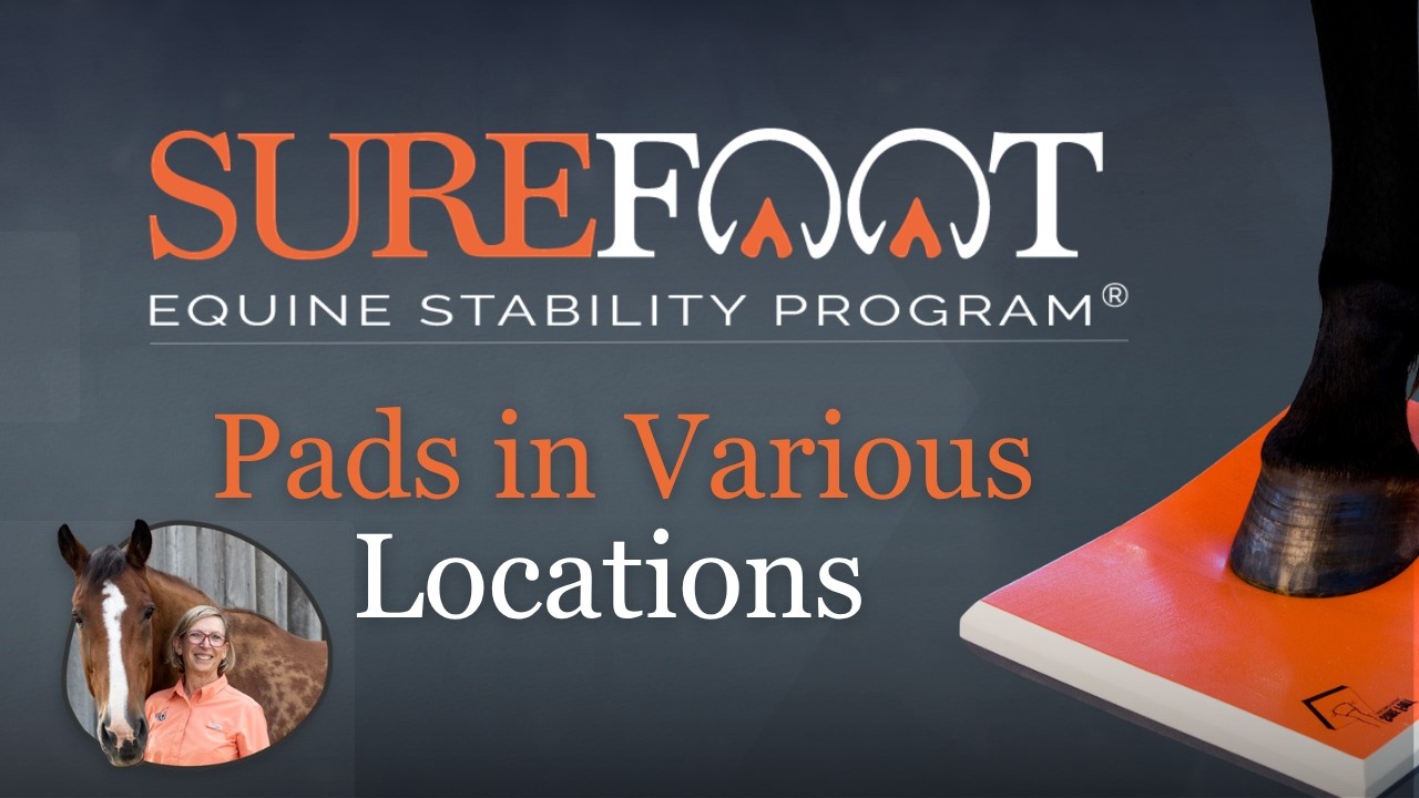 Use SURE FOOT Equine Balance Pads in various locations