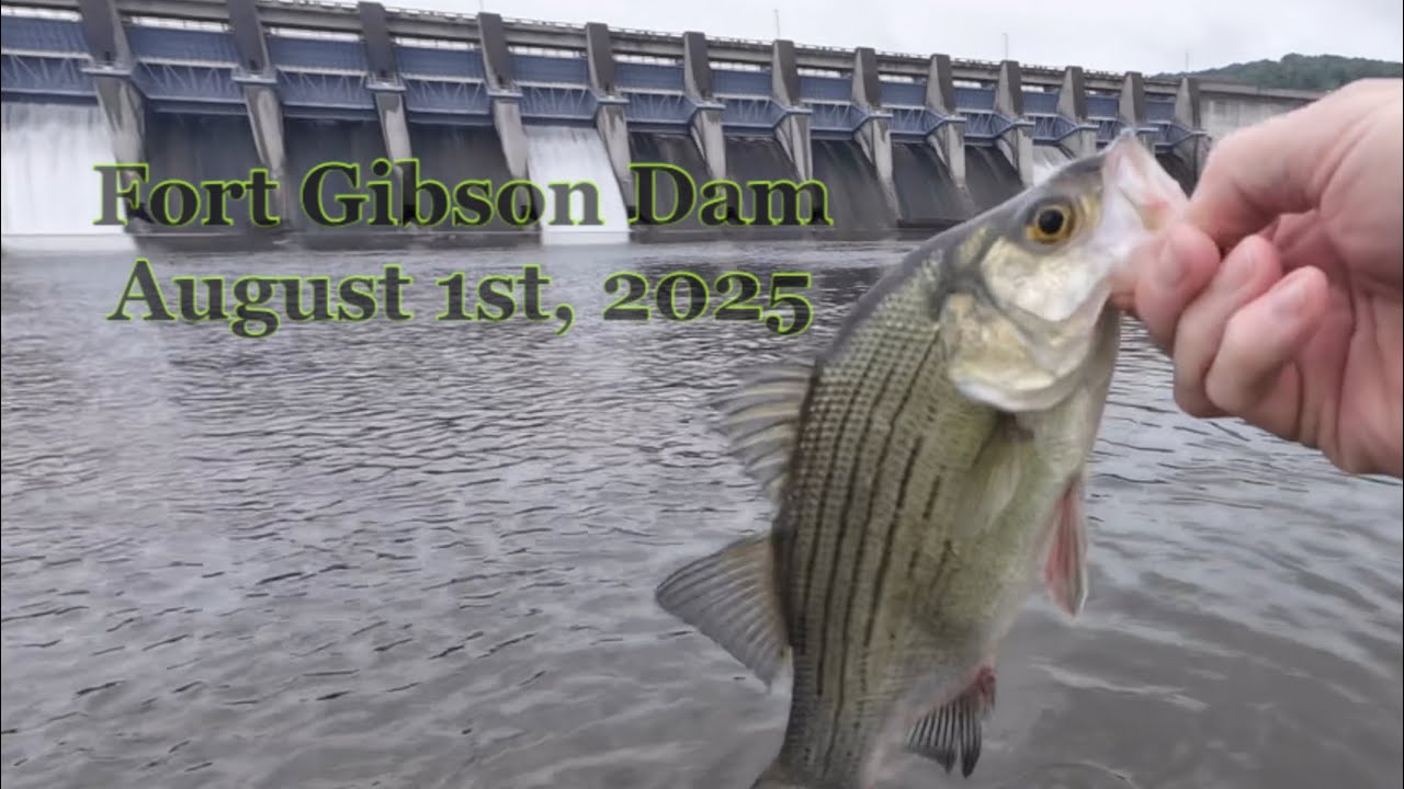 White bass on the Ozark Trail Whopper Plopper at Fort Gibson dam.