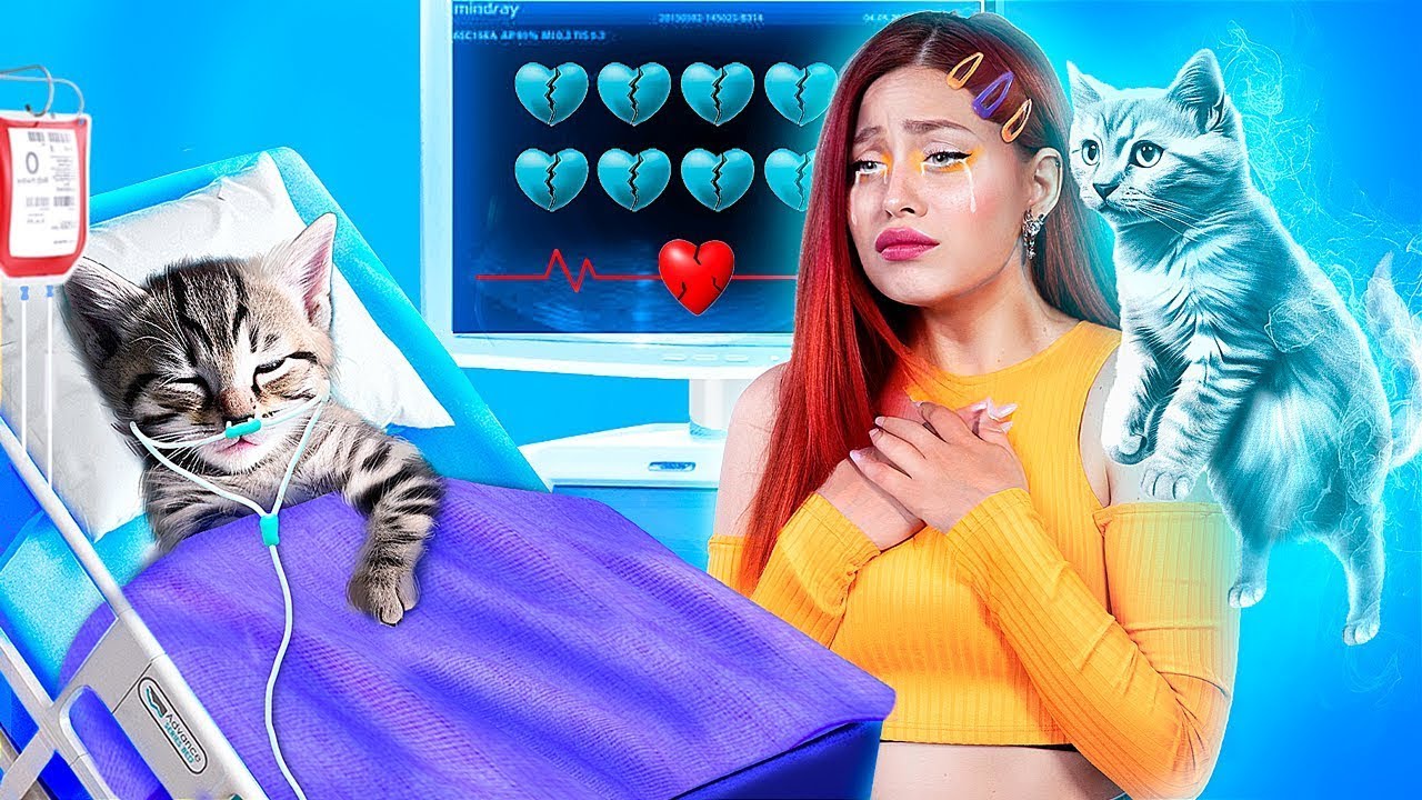 Zachraňte tuhle malou kočku! Tajné triky pro majitele domácích mazlíčků!