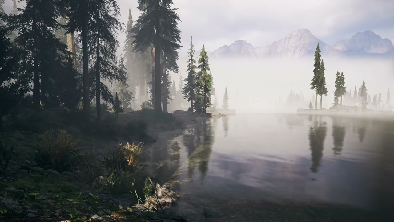 🎵 Ambient Music(Far Cry 5)