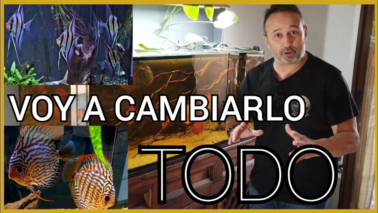 MIS ACUARIOS COMUNITARIOS | Nuevos Proyectos