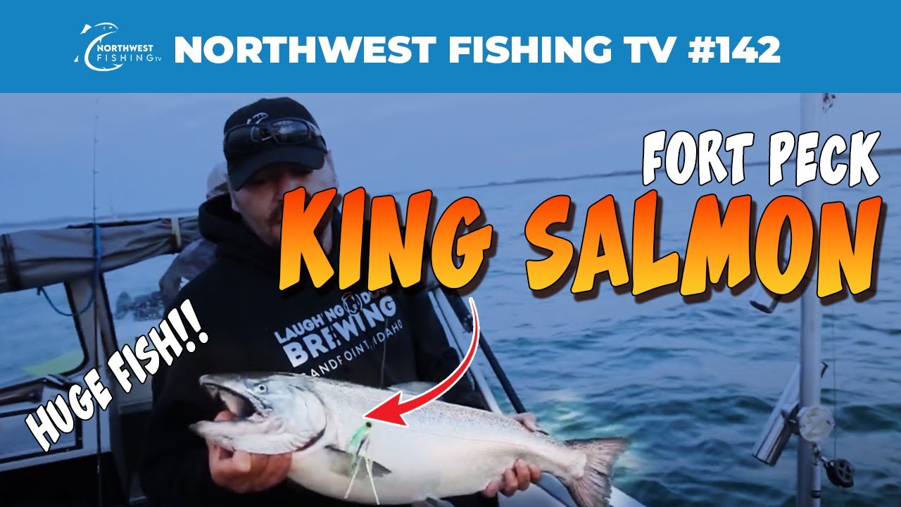 Fort Peck Montana King Salmon | Northwest Fishing TV #142