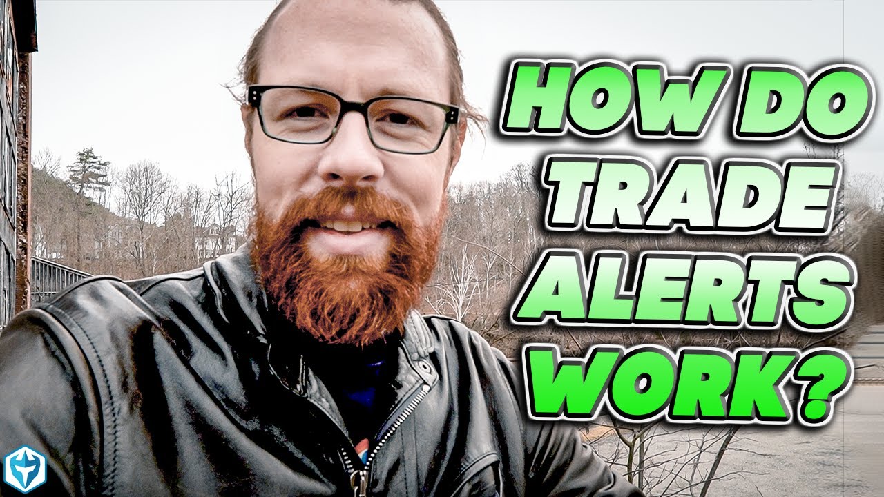 How Do Trade Alerts Work? 🤔🛎
