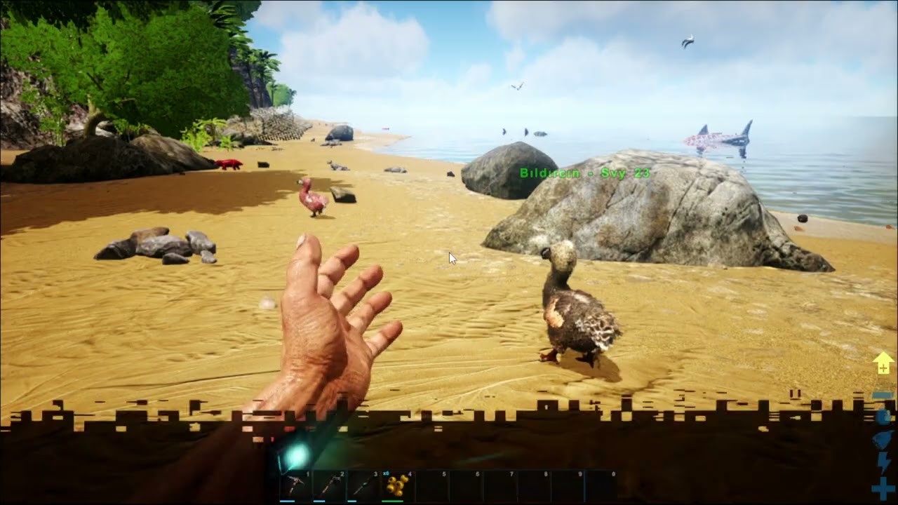 Ark S1 B3