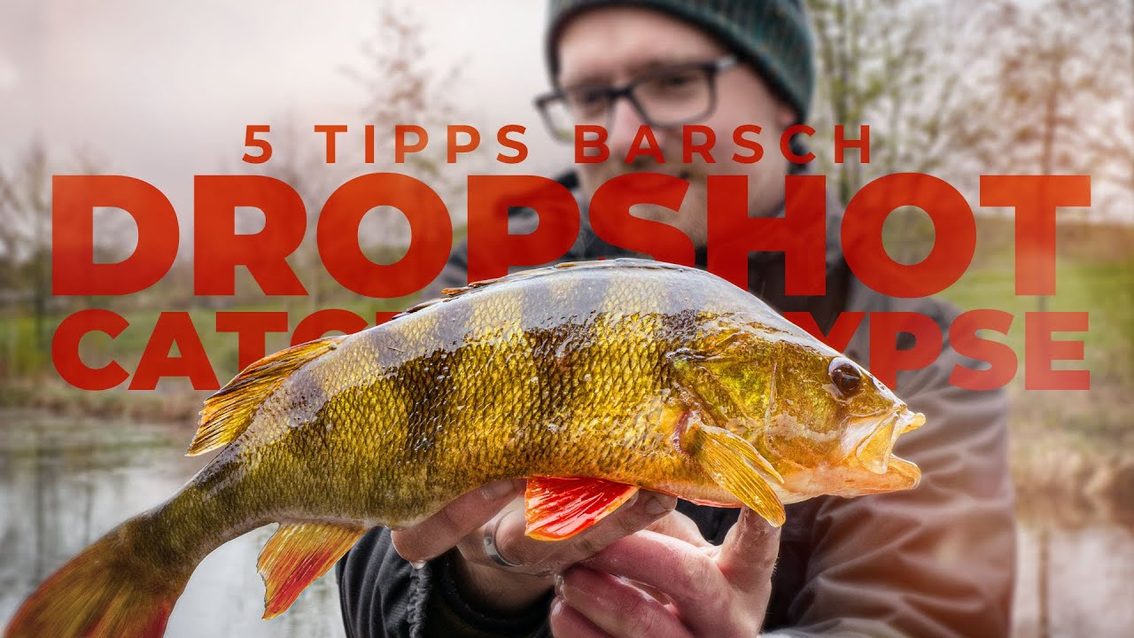 WIE ANGELT MAN BARSCH? - Mit Dropshot zum Erfolg - 5 TIPPS
