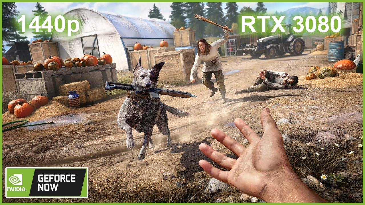 Far Cry 5 GeForce Now RTX 3080 1440p