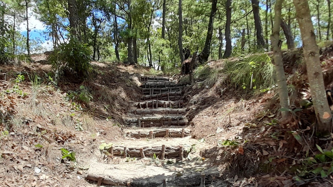 FABRICACIÓN DE SENDERO ECOLÓGICO.