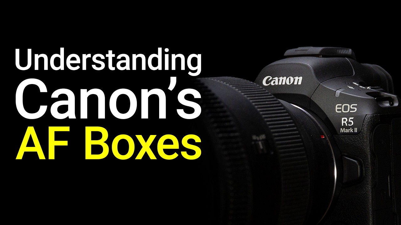 Understanding Canon's AF Box Colors, Shapes and Borders - EOS R5 mark 2 Tip 34
