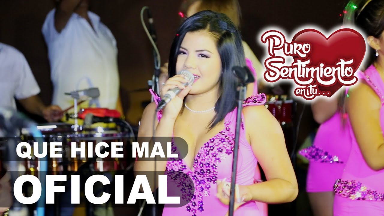QUE HICE MAL Puro Sentimiento ( Concierto Chiclayo 2016 ) HD