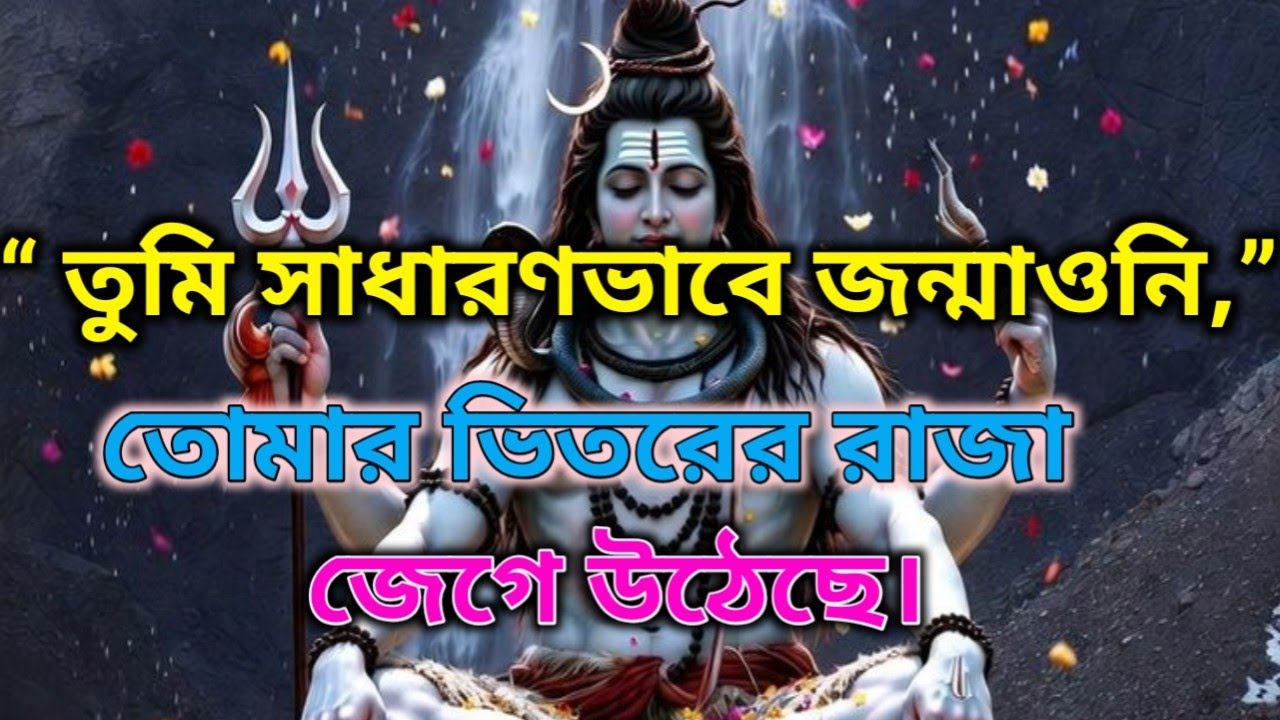 ✅তুমি সাধারণভাবে জন্মাওনি| তুমি ভিড়ের অংশ নও, ব্রহ্মাণ্ড তোমাকে আলাদা করে বেছে নিয়েছে। দিব্য বার্তা