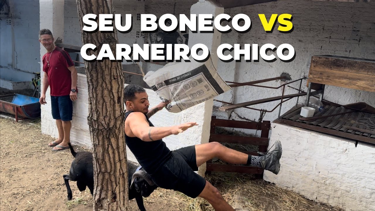 Desafiei o Carneiro MAIS BRAVO e Me Arrependi! Carneiro Chico