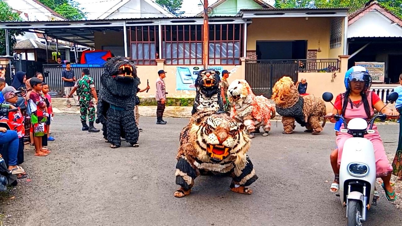 Seru kirab can macanan singo raung dan drumband sunda di randu cangkring
