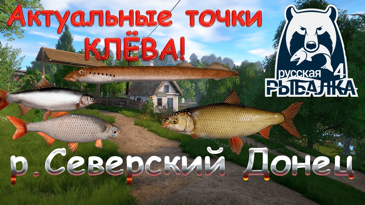 Актуальные точки клева на реке Северский Донец. На 19.00.2026. Русская рыбалка 4.