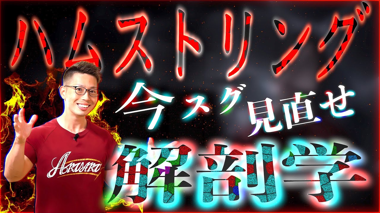 【筋トレ】レッグカールの「序列」を理解して極太の脚をGETせよ！