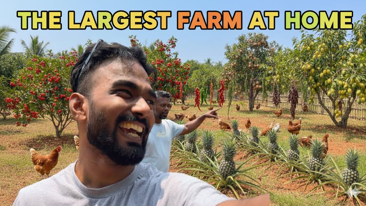 Largest Home Made Farm Ever Seen ! | Albert Rodrigues