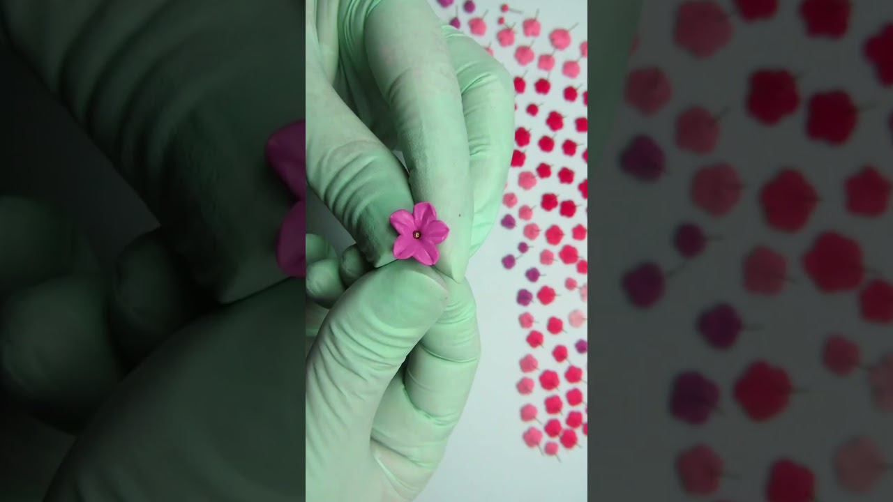 Modelage de mini fleurs en p&acirc;te polym&egrave;re  #diy #flowers #handmade #art