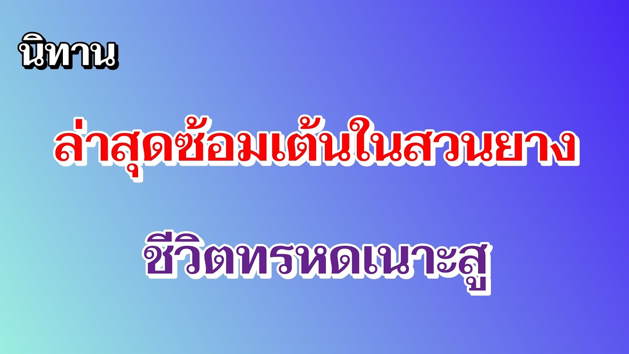นิทาน ล่าสุดซ้อมเต้นในสวนยางชีวิตสู้กลับคักเนาะสู