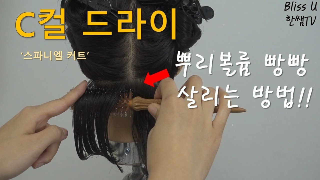 미용(일반)국가자격증/스파니엘/인컬드라이/빗질이 중요한 이유!~