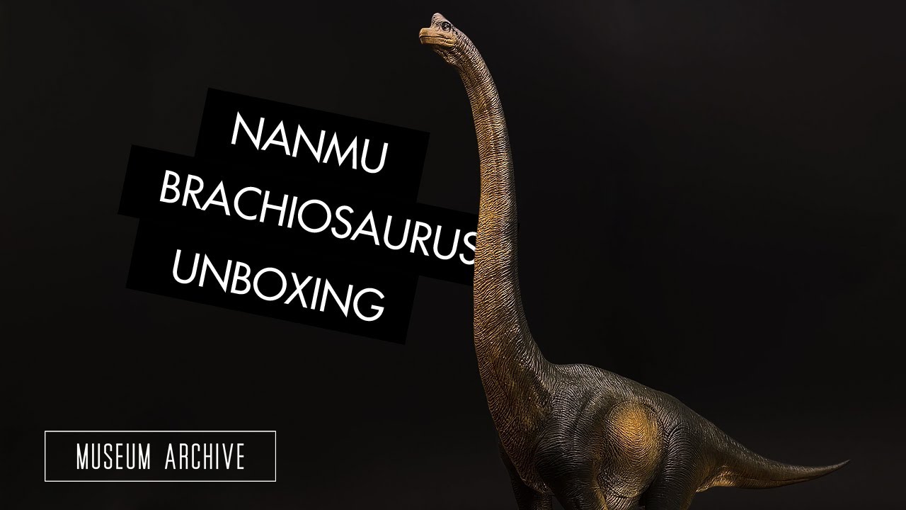 Nanmu Dinosaur Brachiosaurus Grey Version Unboxing and Review 4K | Jurassic Park