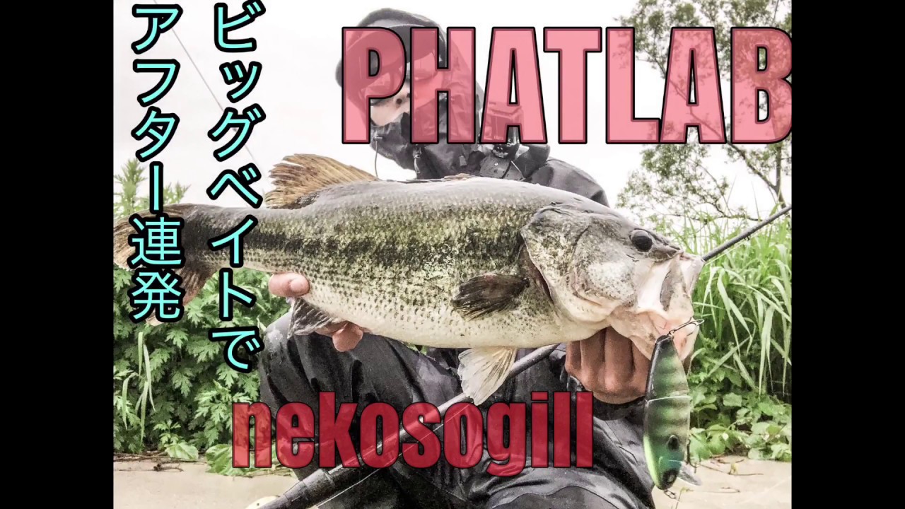 【バス釣り】phatlab nekosogill