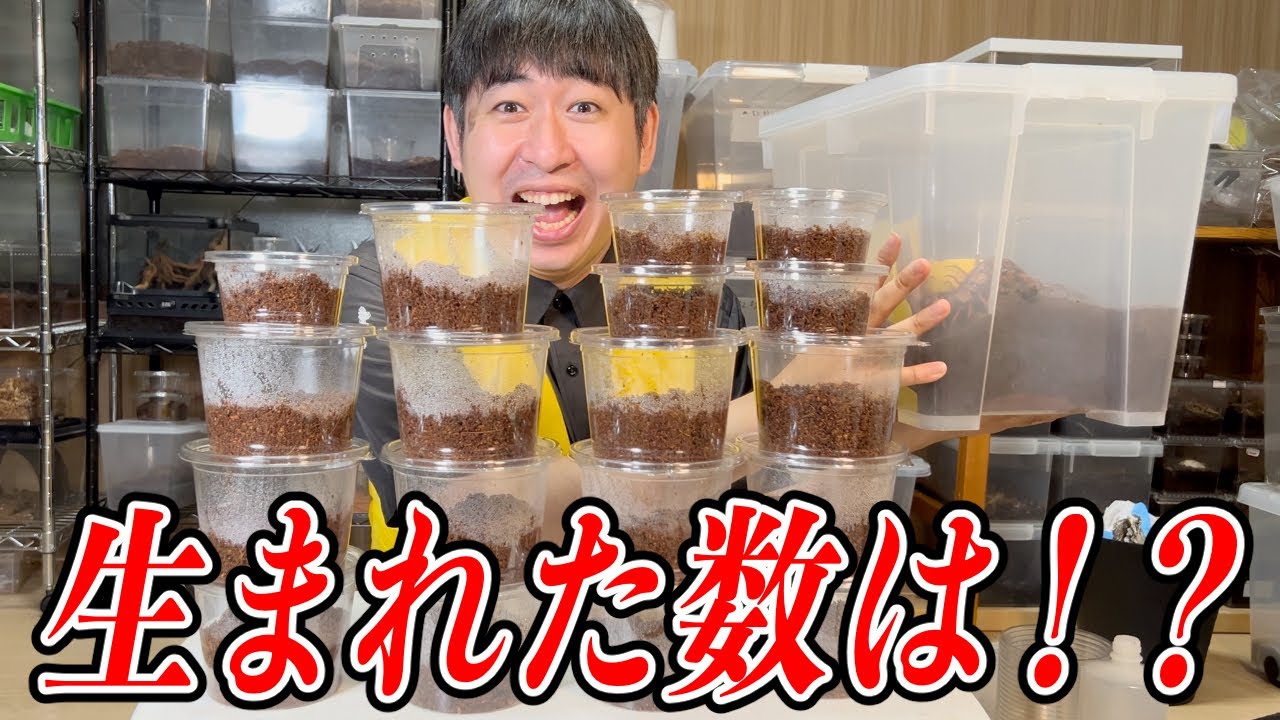 怪物ムカデから子供を奪い取ります