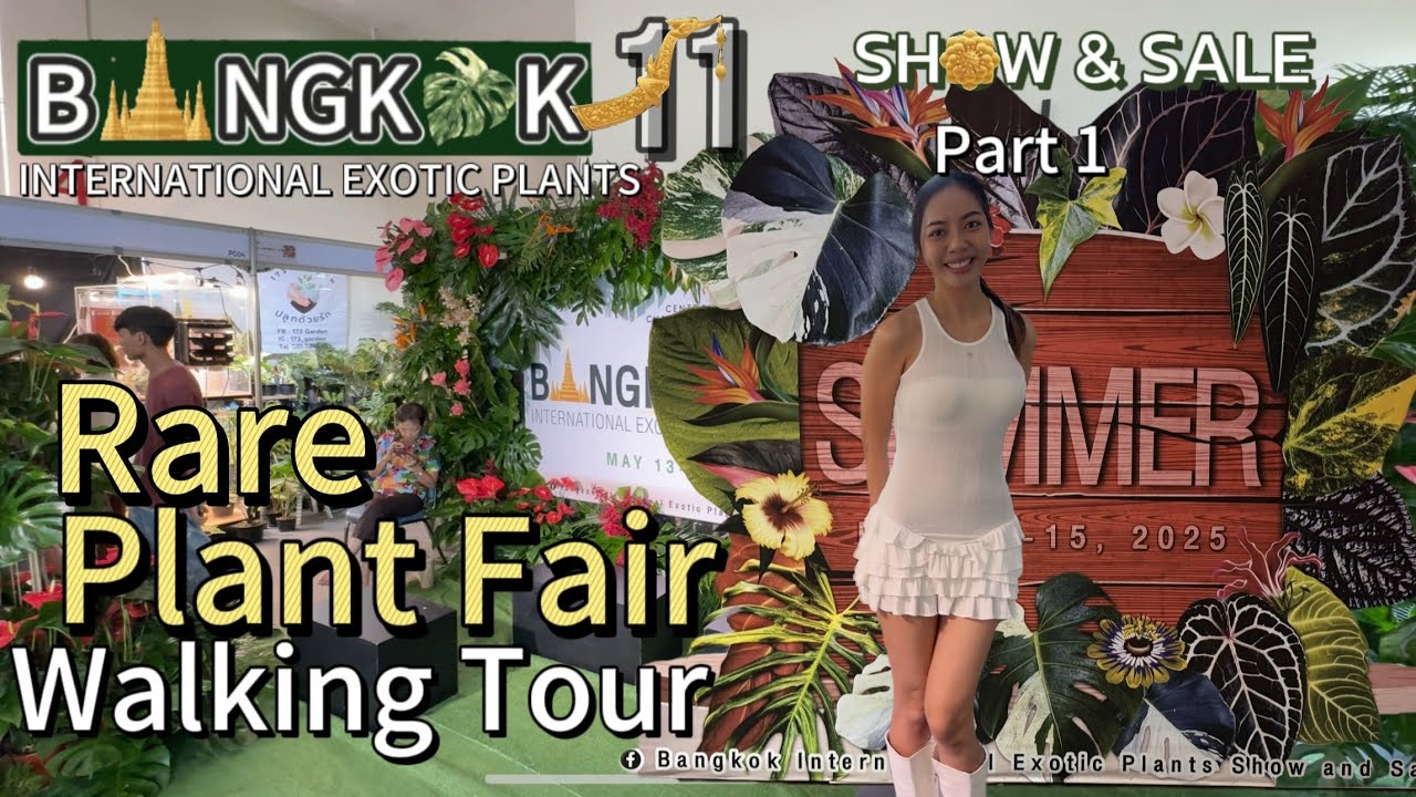 Bangkok Exotic Plant Show and Sale 11, Thailand Rare Plant Fair, Walking tour | Price Update, Part 1