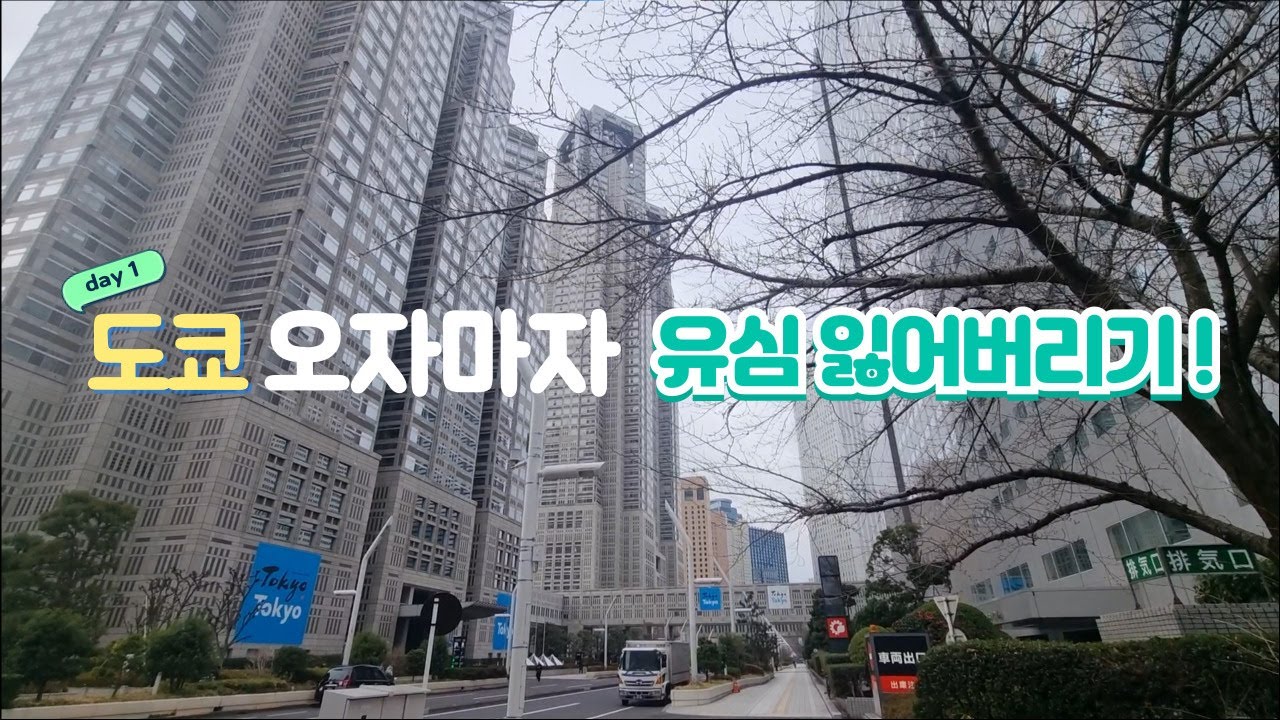 도쿄 오자마자 유심 잃어버리기 ! | 바이오패스 | 유심분실 | 스카이액세스 | 돈카츠 마이센 | 키디랜드 | 넘버슈가