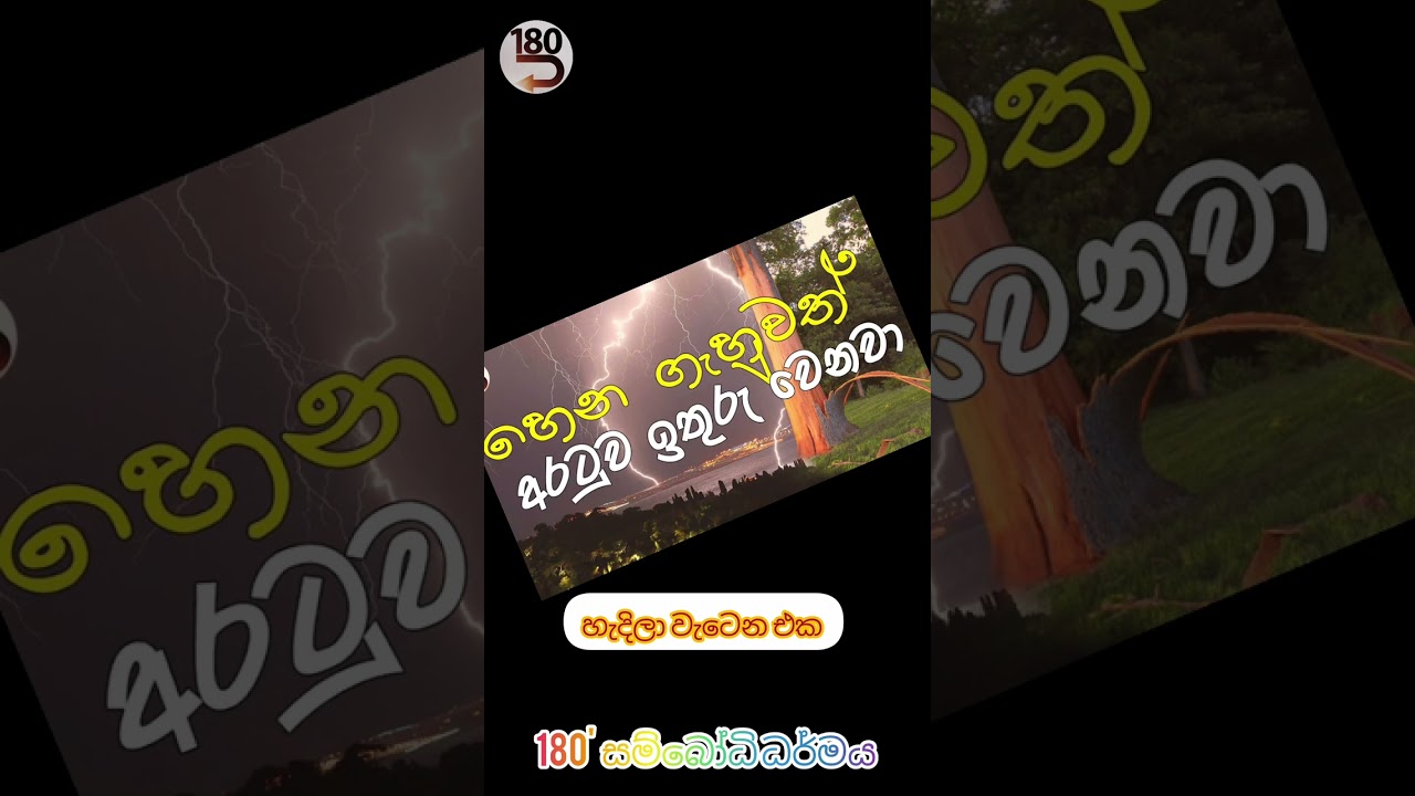 මුල ගැන දන්න කෙනාට කොළ කඩා පාන්න එපා