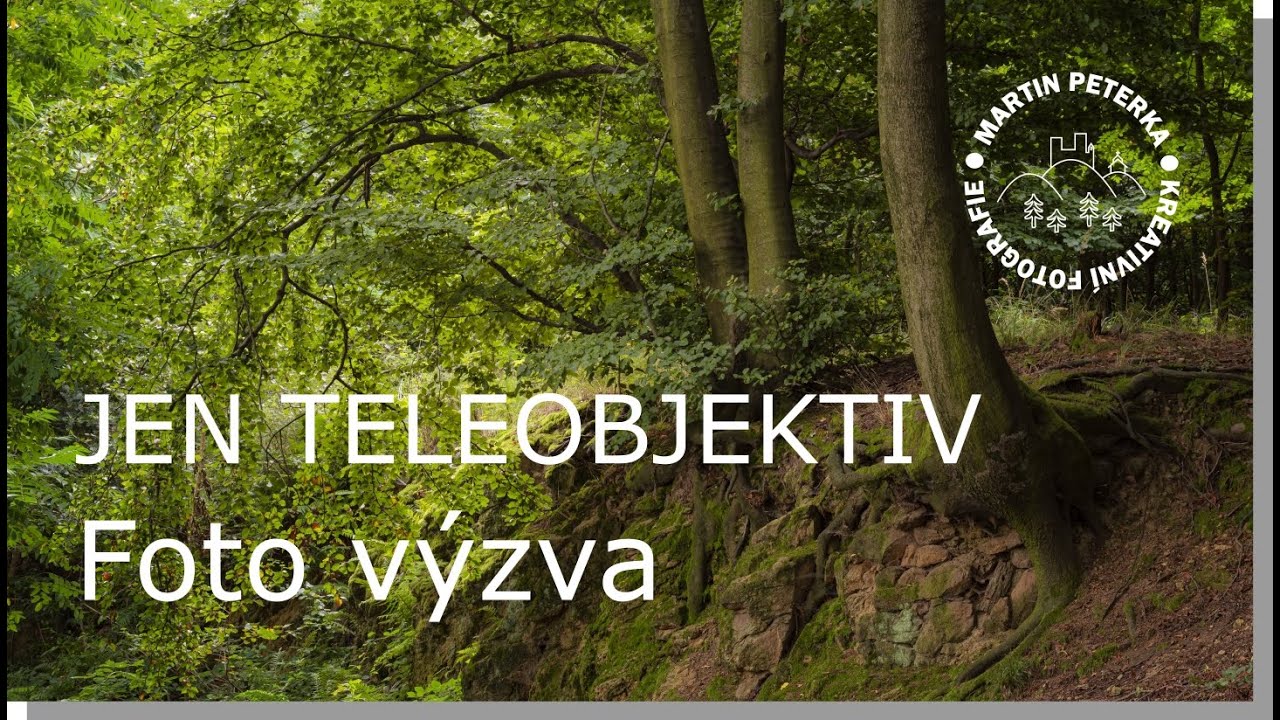 Pouze teleobjektiv v lesn&iacute; fotografii - fotografick&aacute; v&yacute;zva.