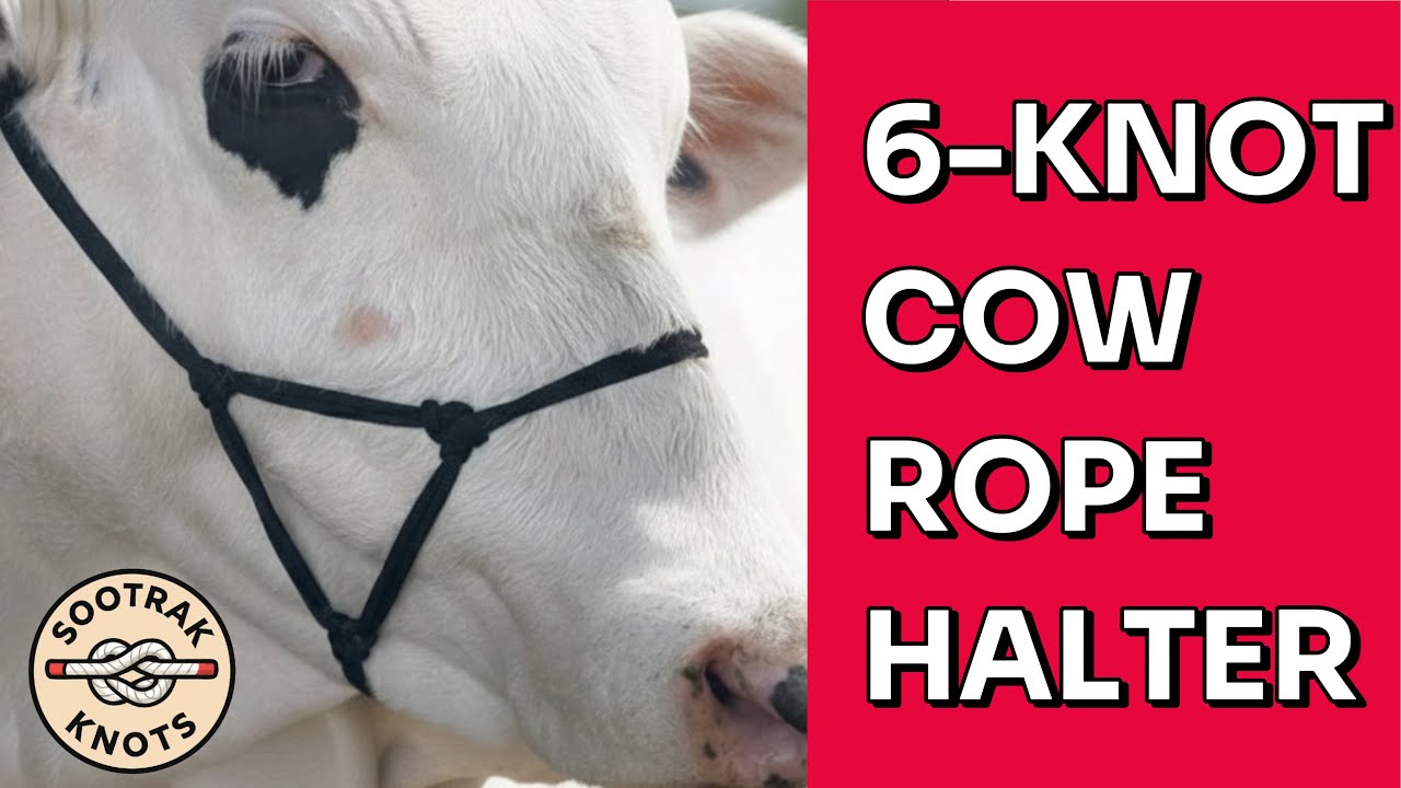 6-Knot Cow Rope Halter | How to Tie a Rope Halter | How to Make a Rope Halter | Cow Rope Making 