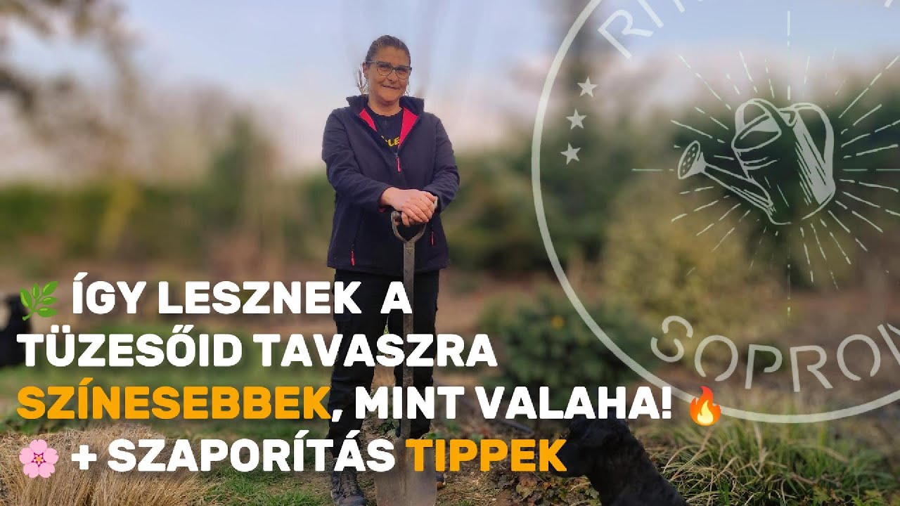 🔥 Tűzesők titkai – Így lesz varázslatosan színes kerted tavasszal! 🌸 + Szaporítás tippek