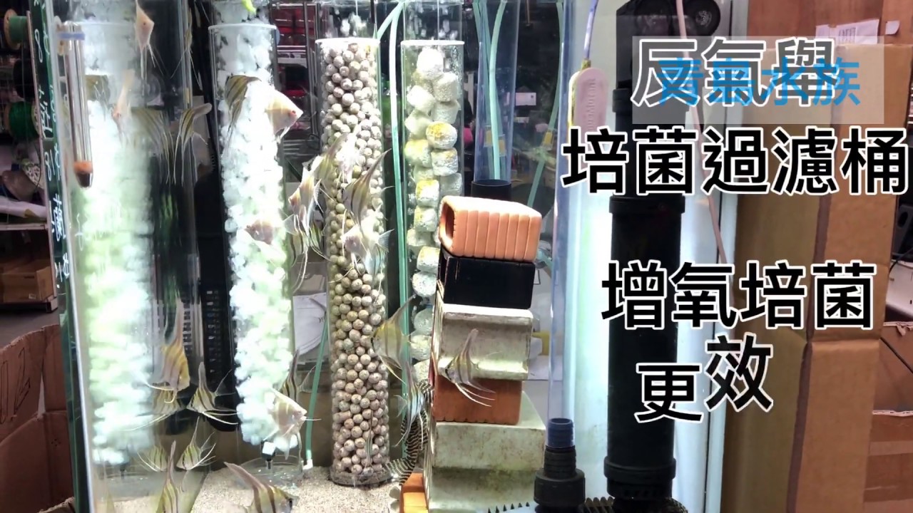 反氣舉培菌過濾桶 K1翻滾濾桶 氣動式水妖精 增氧淨水 實用展示