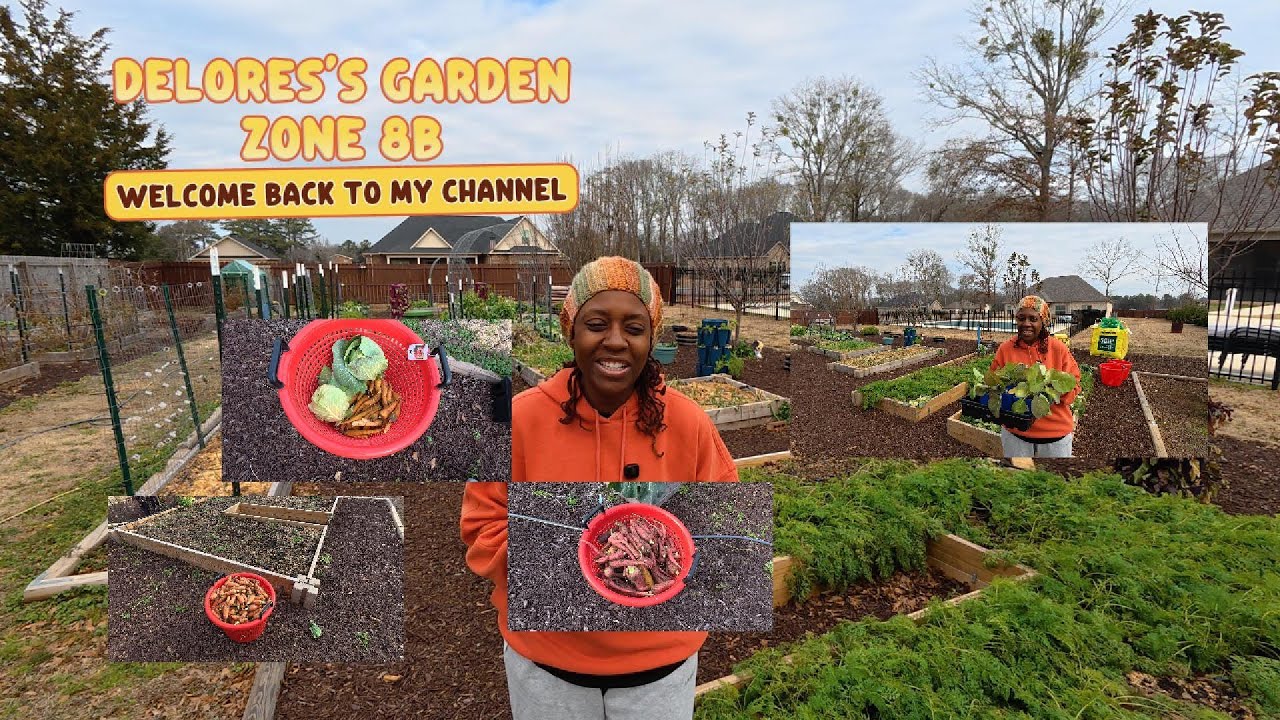 1/22 Did my Garden Survive the Freeze? - Harvesting & Maintenance #wintergarden