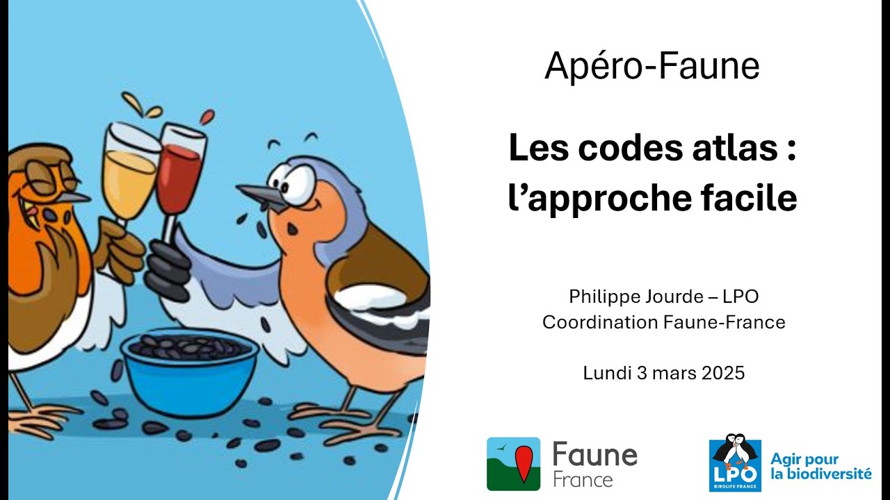 Apéro-Faune #13 - Partie 1 : Les codes atlas - l'approche facile !