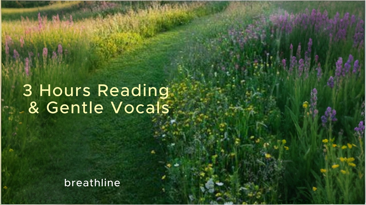 pli 20 long playlist ,Clear Daylight Soft Presence | 3 Hours  Reading & Gentle Vocals