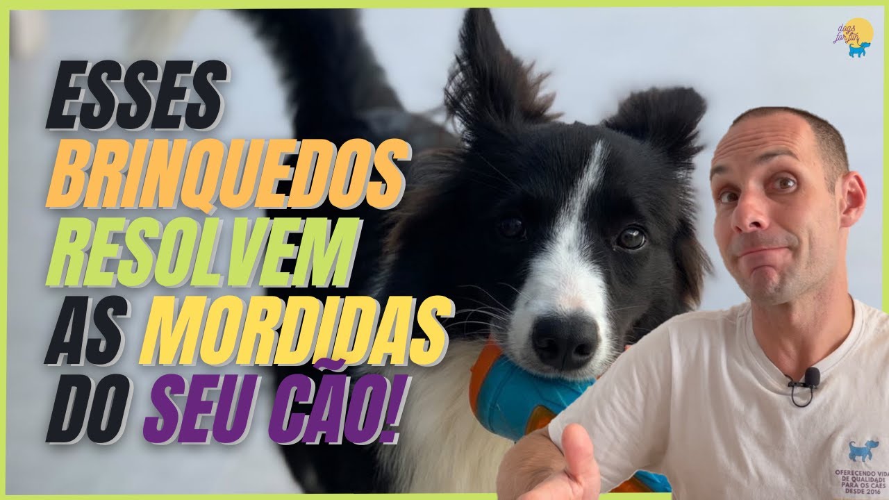 QUATRO TIPOS DE MORDEDORES QUE VOCÊ PRECISA TER EM CASA (PARA DIMINUIR AS MORDIDAS E OCUPAR SEU CÃO)