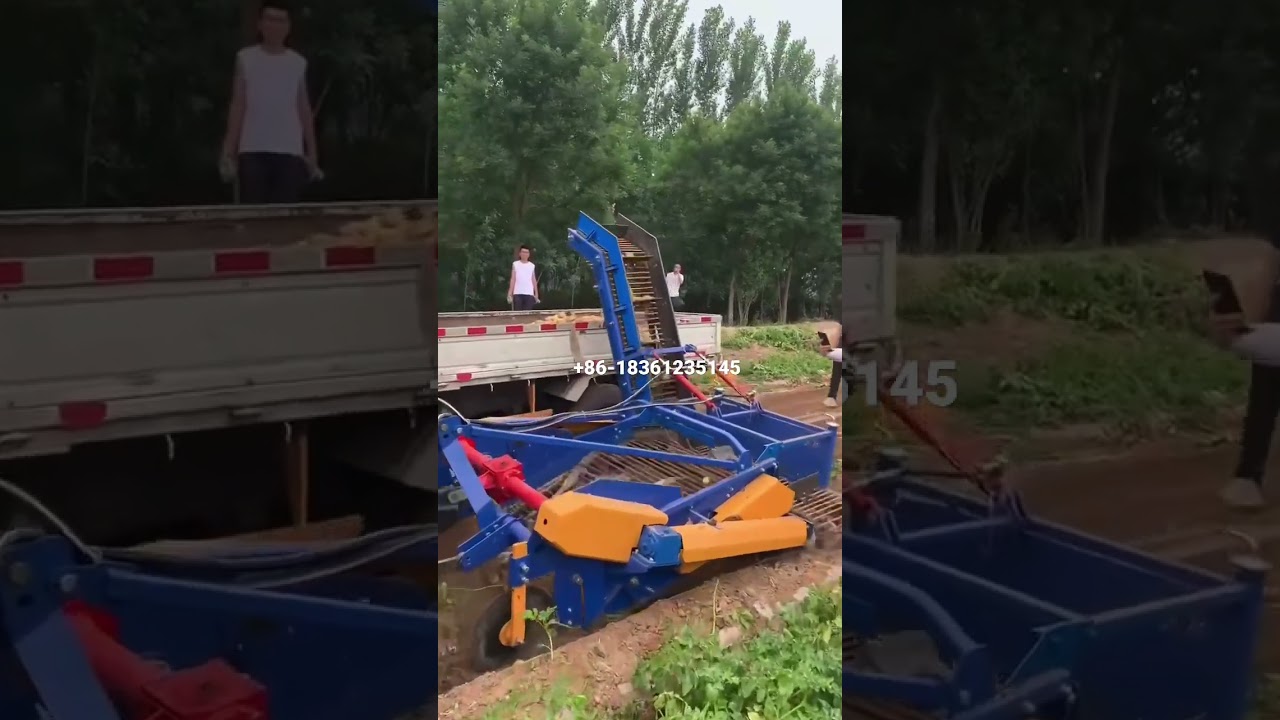 Self loading Potato harvester