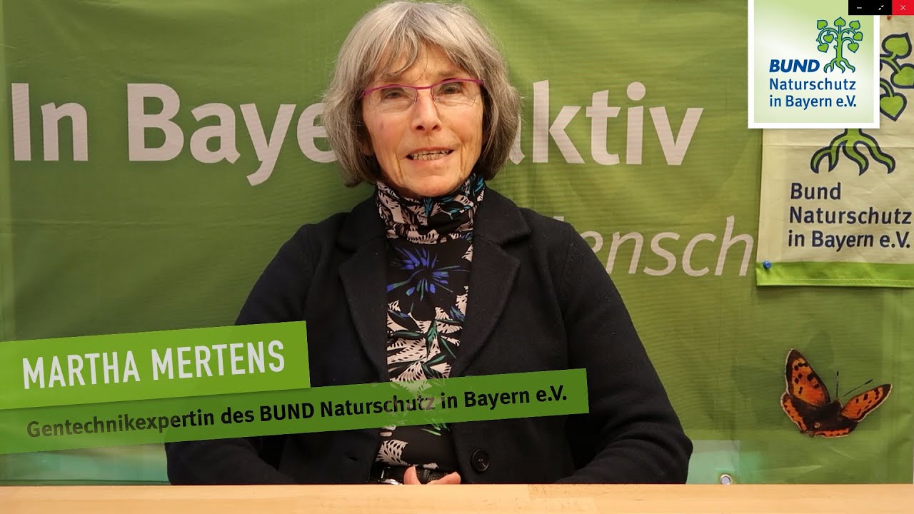 Gentechnik Teil 2:  Chancen und Risiken