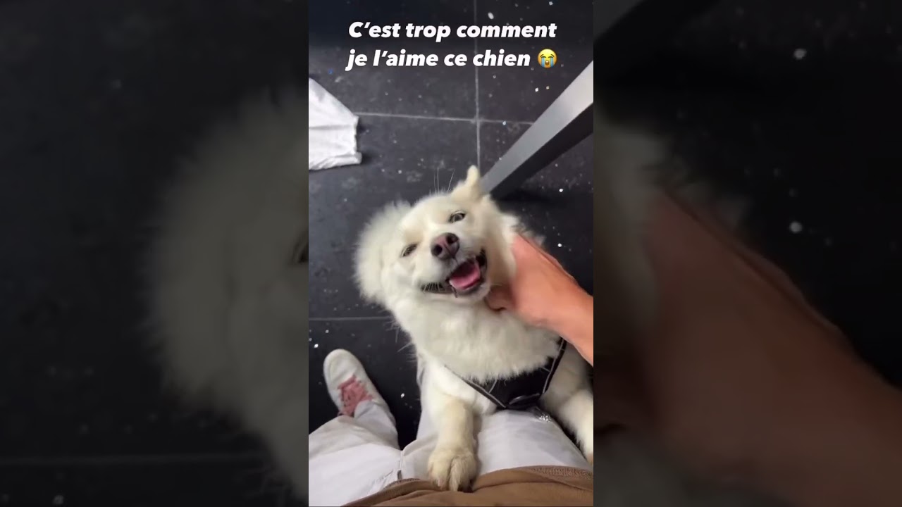 Michou est choqué par yuki