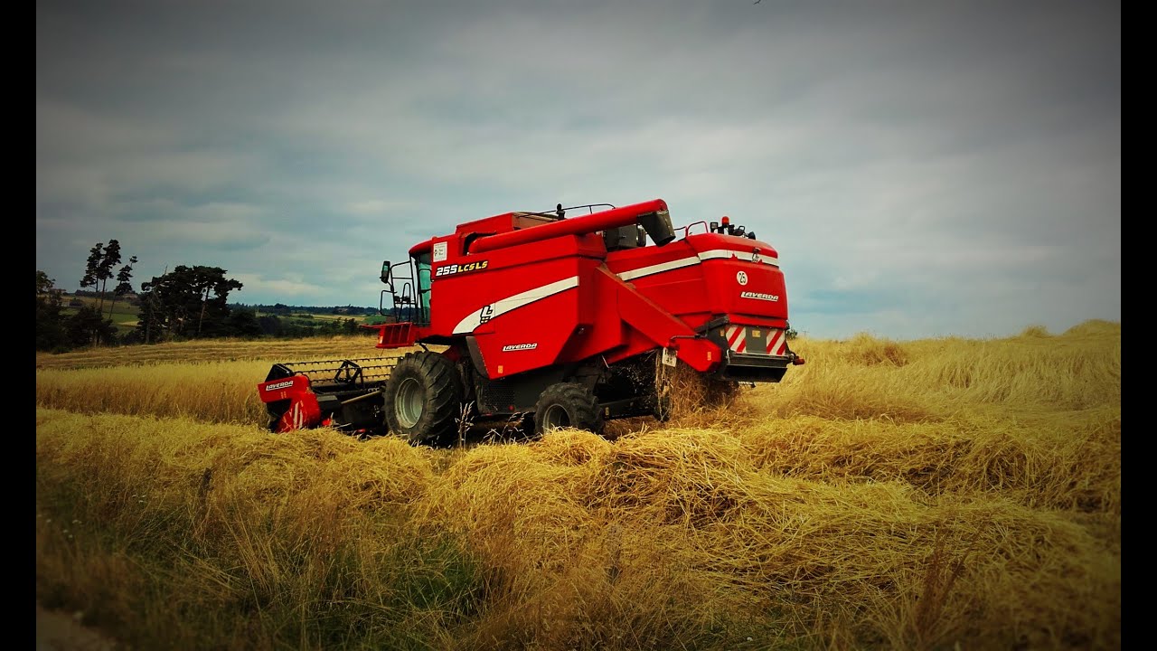 Moisson 2016 - Laverda 255 LCS LS (Seigle).