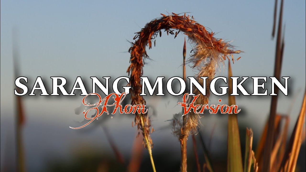 Sarang Mongken (cover) || Phom version || Chingmei H Phom