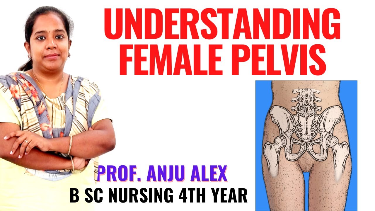 Understanding Female Pelvis II B Sc Nursing 4 th Year II  By Anju Alex Madam