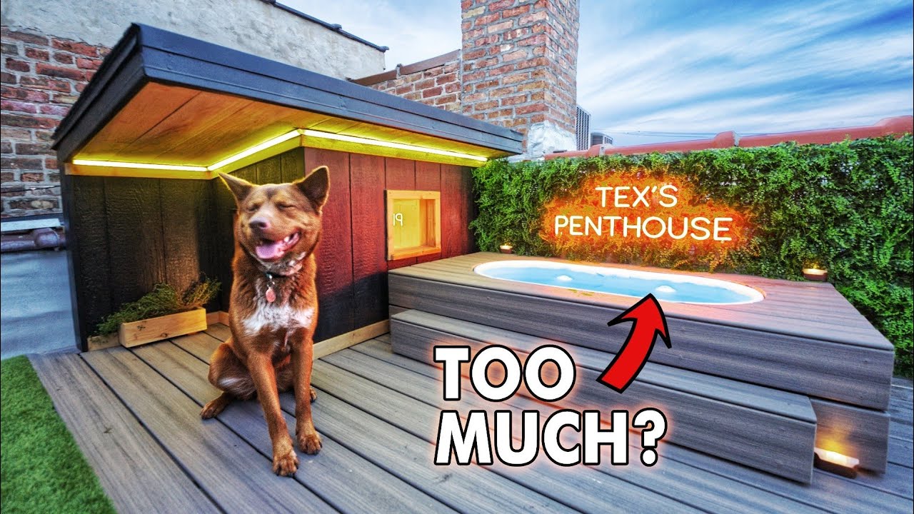 I Built a Luxury Doghouse with a POOL