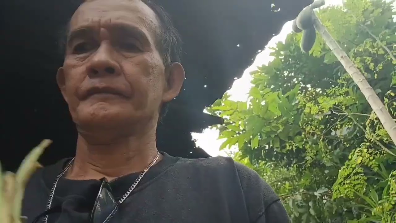 Anong nangyare sinong sumira nito.