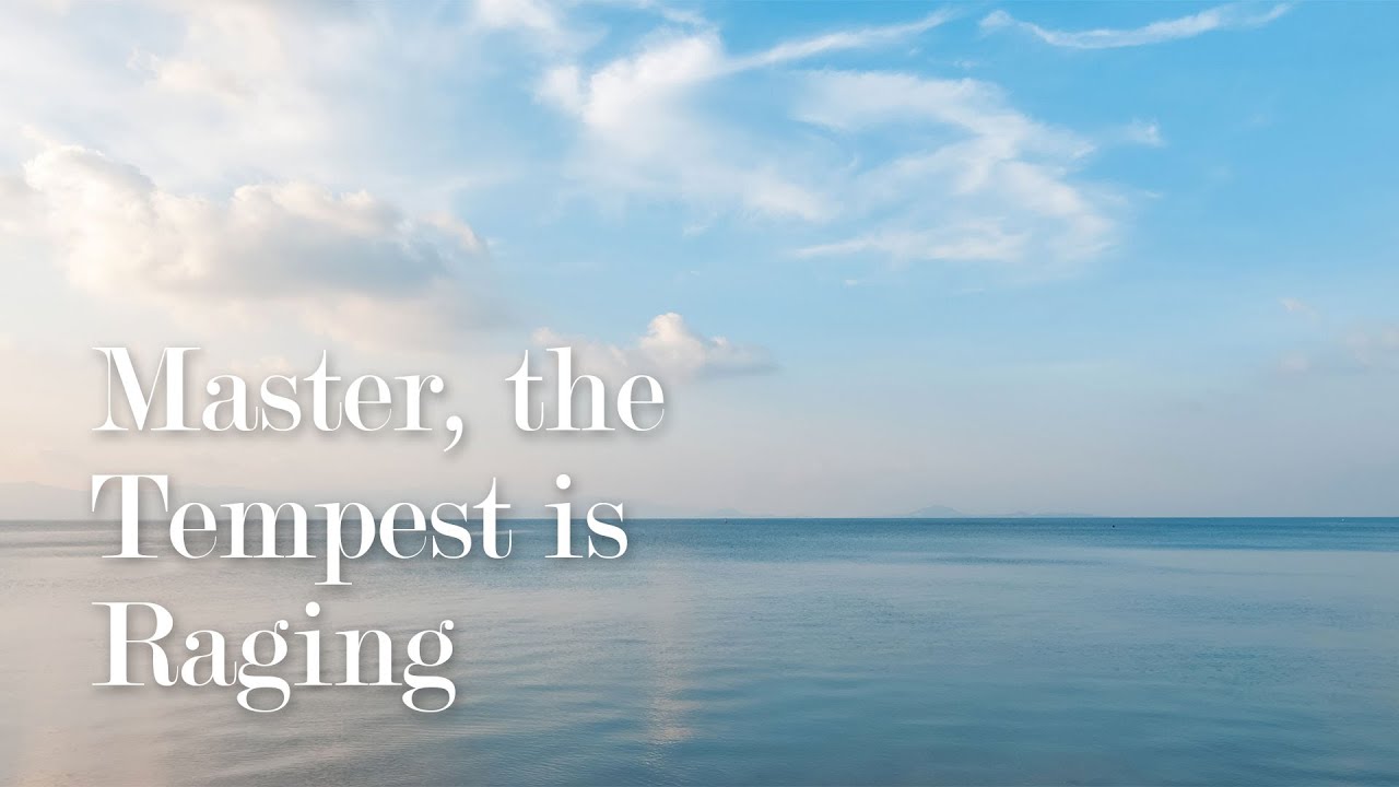 Master, the Tempest Is Raging - James Koerts