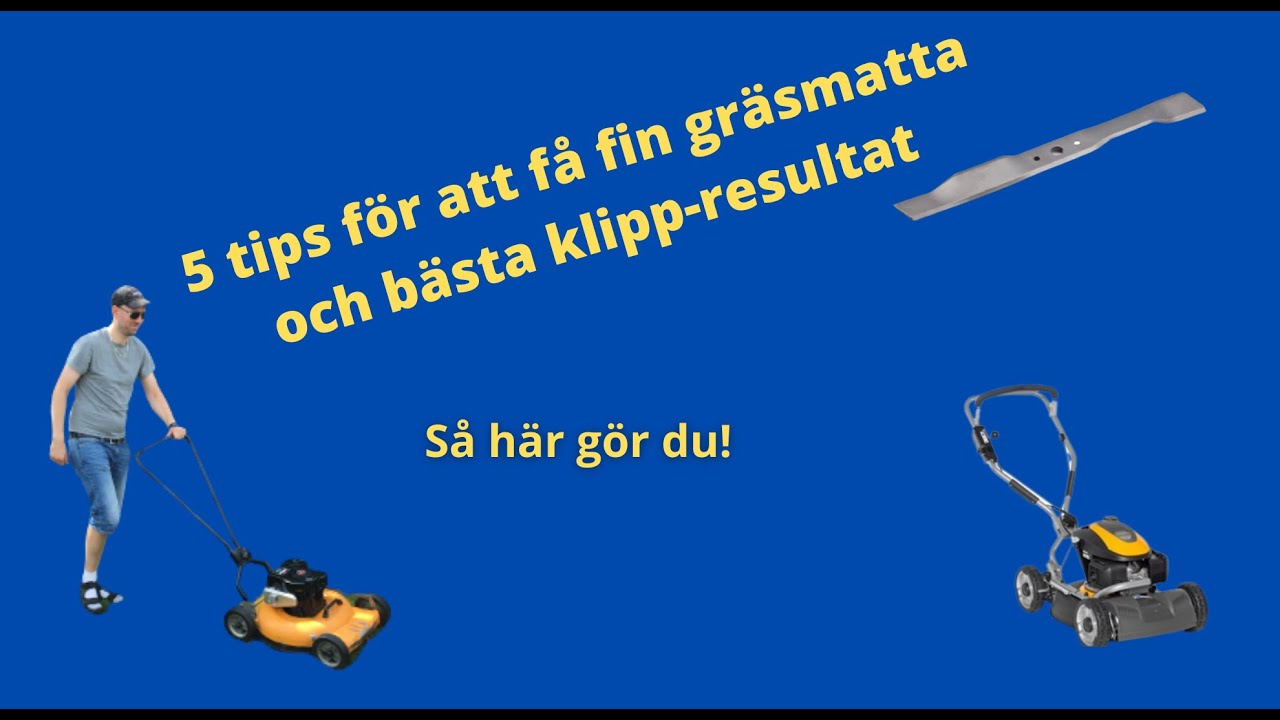 5 tips för att klippa gräsmattan och hur gräsklipparen arbetar optimalt.