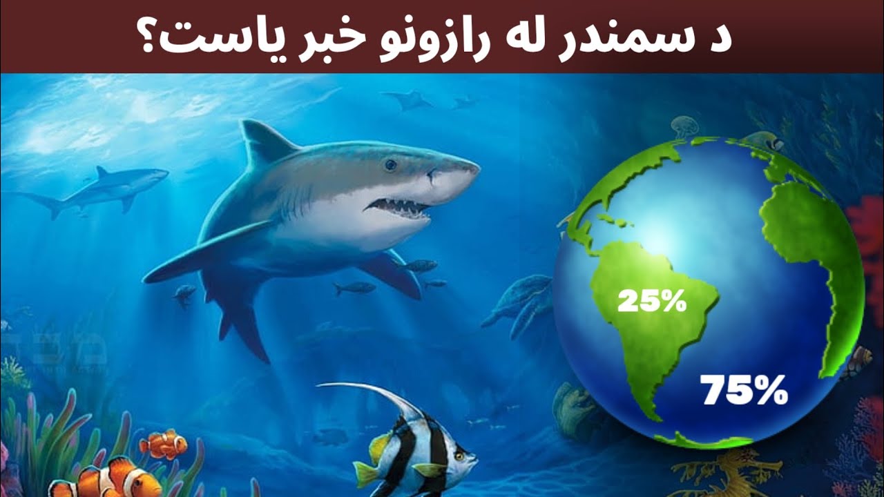 د سمندر جالب راﺯونه // د ځمکې‌ هغه ځاي چې په اړه يې انسانان هيڅ نه پوهيږي