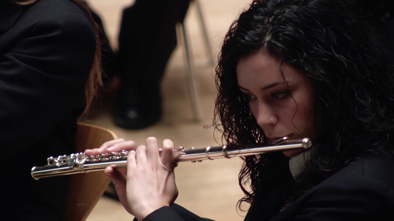 Musical Apolo SOCIETAT MUSICAL DE MASSALFASSAR