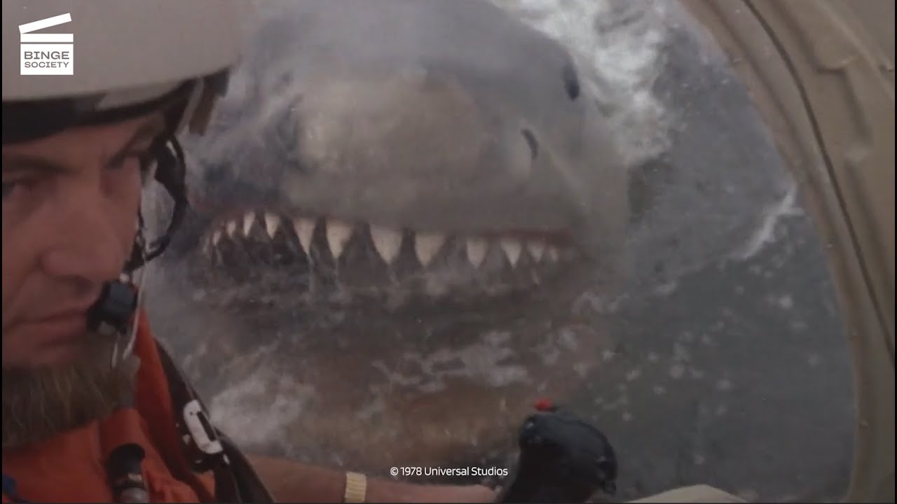 Les Dents de la mer 2 : Hélicoptère vs. Requin blanc CLIP HD