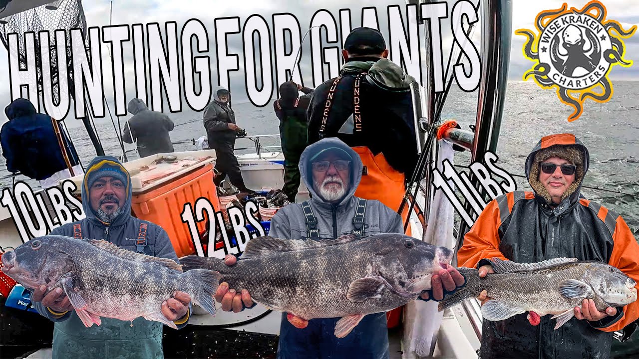 Four Double Digit Tautog! Charter Boat Fishing Block Island